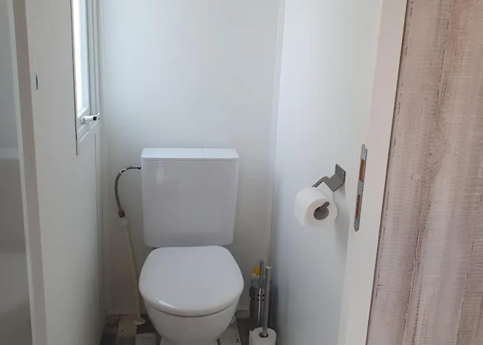 Familial A La 캠프장